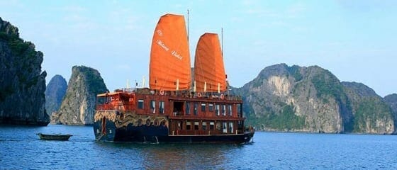 O4B2DREUR_violet_halong