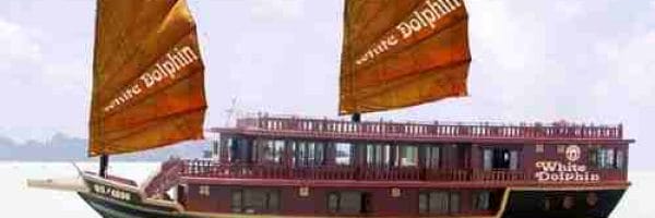 Halong white dolphin junk