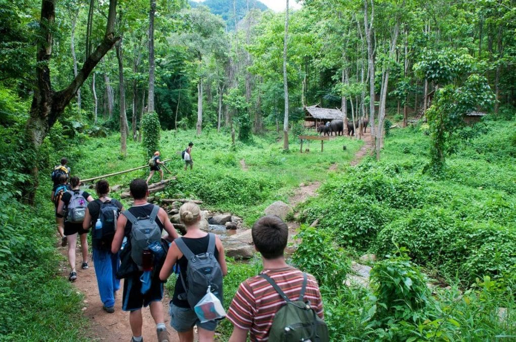 LUANG PRABANG ONE DAY TOUR OF ELEPHANT RIDING AND TREKKING