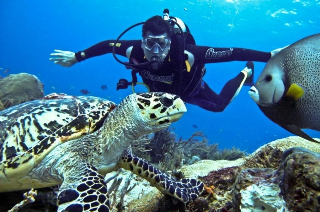 PHU QUOC ISLAND DIVING TOUR PACKAGE