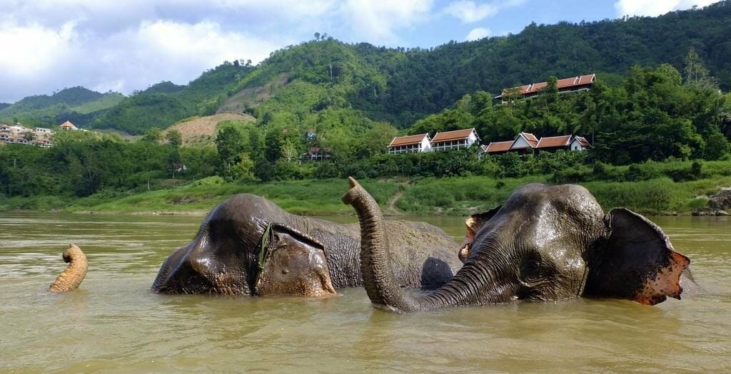 LAOS TOUR ON LUANGSAY CRUISE LAOS TOUR ON LUANGSAY CRUISE