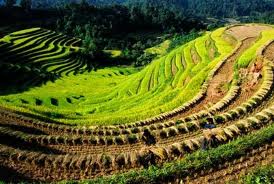 The Northernmost area of Vietnam