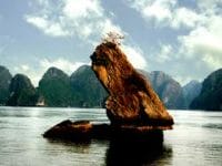 Halong Bay Vietnam On The New Natural Wonders List