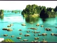 The cost for Ha Long Bay&rsquo;s wonder title not high: official