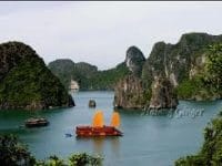 Ha Long Bay wonder makes Vietnamese businessmen excited