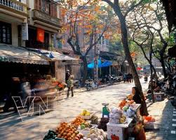 Hanoi to preserve 229 French-style villas