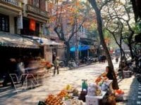 Hanoi to preserve 229 French-style villas Hanoi to preserve 229 French-style villas