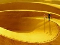 Travel firms fear they may lose travelers because of exchange rate adjustments