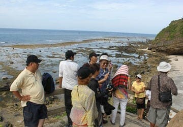 Travel firms offer super-cheap tours to lure travelers