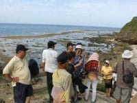 Travel firms offer super-cheap tours to lure travelers