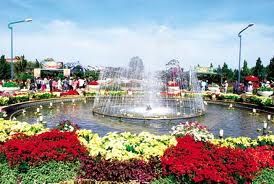 92 businesses join Dalat flower festival