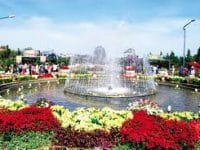 92 businesses join Dalat flower festival