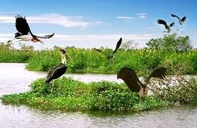 Going fishing in U Minh Thuong