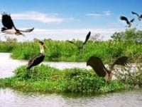 Going fishing in U Minh Thuong