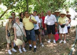 Domestic tours getting unattractive because of higher airfare