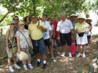 Domestic tours getting unattractive because of higher airfare Domestic tours getting unattractive because of higher airfare