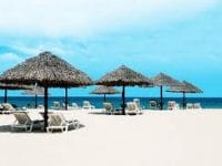 Travel firms misestimate domestic demand