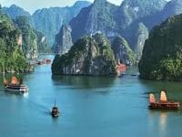Ha Long tourist boats must be painted in white Ha Long tourist boats must be painted in white