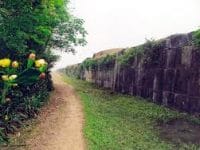 Thanh Hoa uncovers its past Thanh Hoa uncovers its past