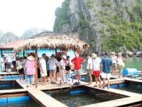 Vung Vieng Fishing Village