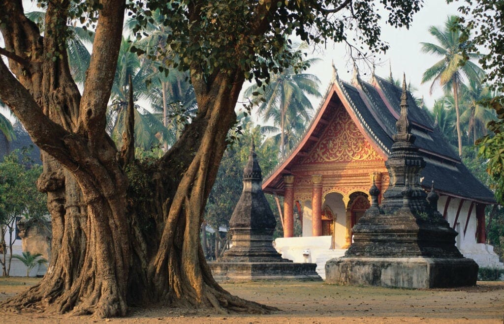 MEKONG DOWNSTREAM TOUR IN DEPTH