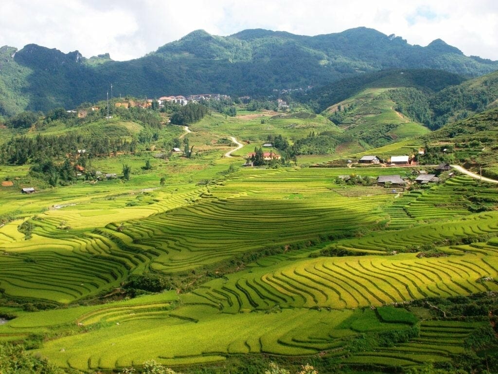 VERY POPULAR SAPA MOTORCYCLE TOUR TO LAO CHAI AND TA VAN VILLAGE - 1 DAY