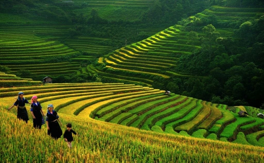 WONDROUS SAPA BUDGET TREKKING TOUR - 4 DAYS