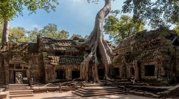 Ta Prohm Temples - HIGHLIGHTS OF INDOCHINA TOUR