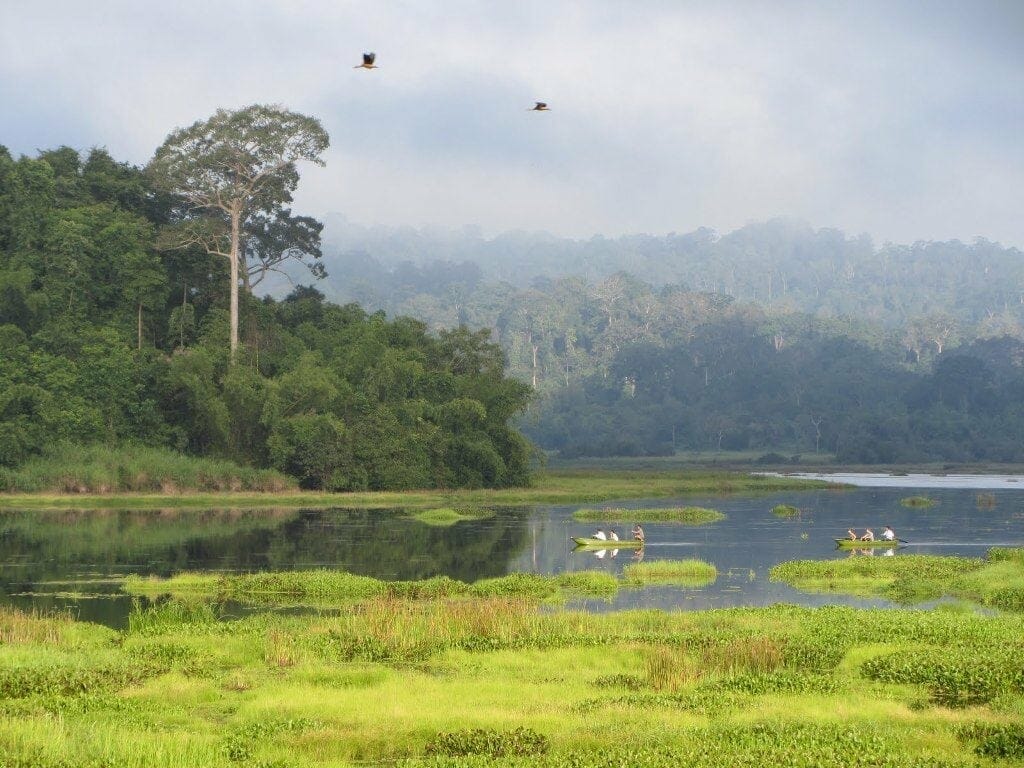 MYSTERIOUS NAM CAT TIEN NATIONAL PARK TOUR - 2 DAYS MYSTERIOUS NAM CAT TIEN NATIONAL PARK TOUR - 2 DAYS