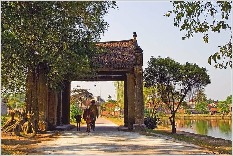 HANOI GROUP TOUR TO DUONG LAM VILLAGE