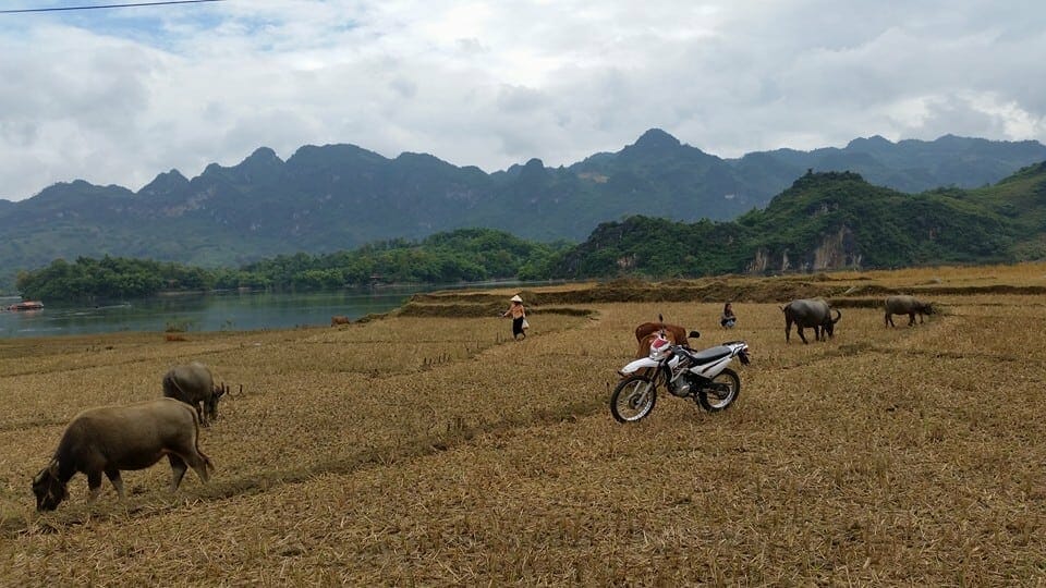 Fantastic Hanoi Daily Motorbike Tour to Handicraft Villages
