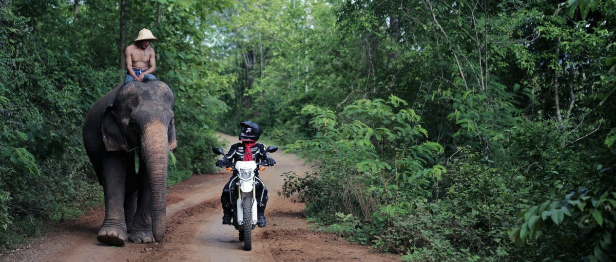Luang Prabang Motorcycle Tour