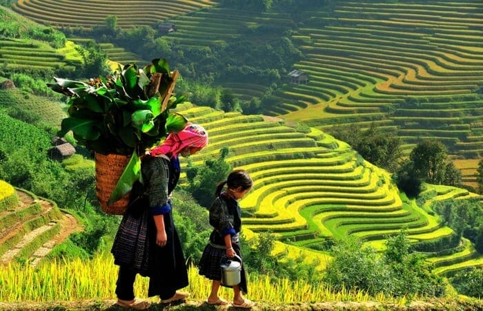 IN-FOCUS VIETNAM FAMILY HOLIDAY TO HANOI-HALONG AND SAPA