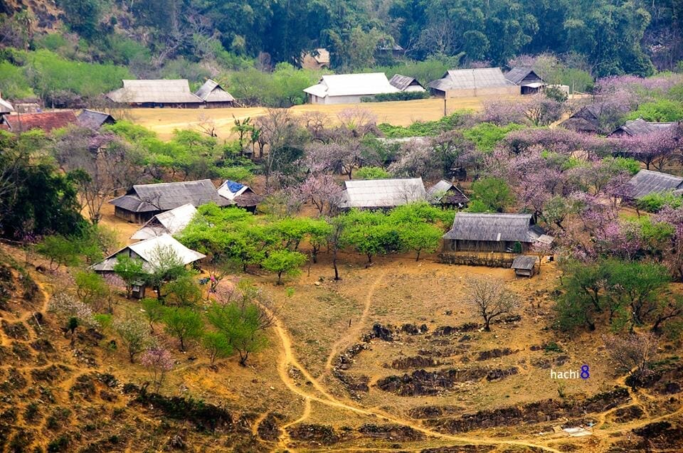 BEST SELLING MAICHAU HOMESTAY TREKKING TOUR - 4 DAYS BEST SELLING MAICHAU HOMESTAY TREKKING TOUR - 4 DAYS