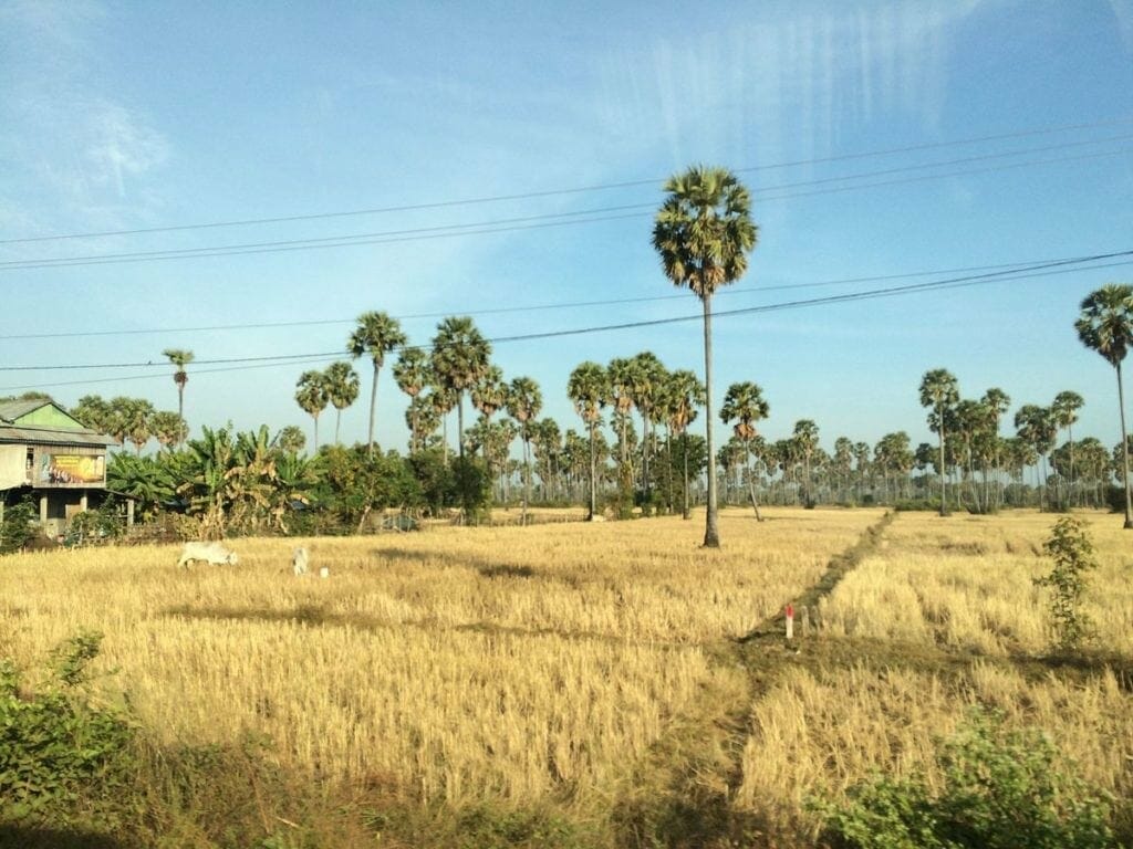Phnom Penh Cruising Trip to Siem Reap by RV Jayavaman Cruise Phnom Penh Cruising Trip to Siem Reap by RV Jayavaman Cruise