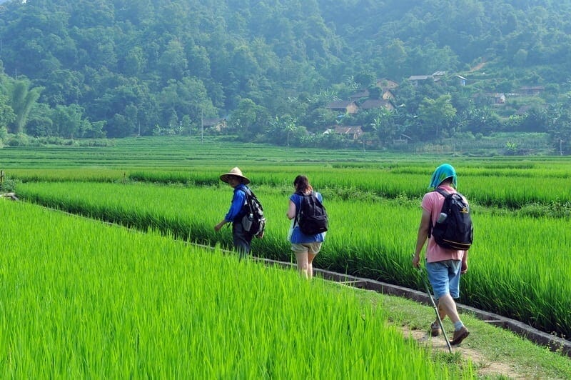 SPECTACULAR MAI CHAU HOMESTAY TREKKING TOUR IN FOCUS - 4 DAYS SPECTACULAR MAI CHAU HOMESTAY TREKKING TOUR IN FOCUS - 4 DAYS