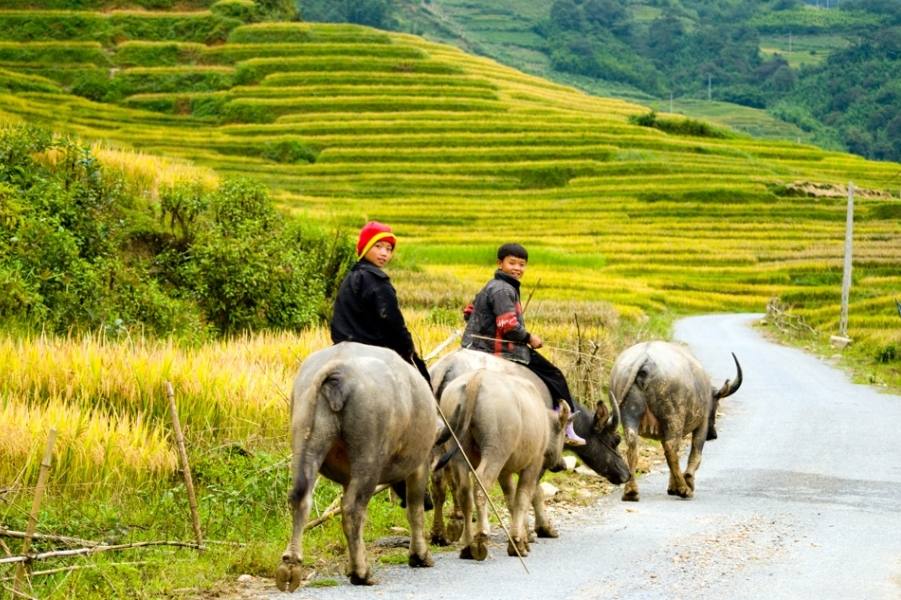 INSPIRING SAPA AND BAC HA TOUR - 4 DAYS INSPIRING SAPA AND BAC HA TOUR - 4 DAYS