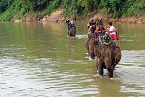 Luang Prabang Daily Tours of Elephant Rides and Kayaking on Nam Khan River
