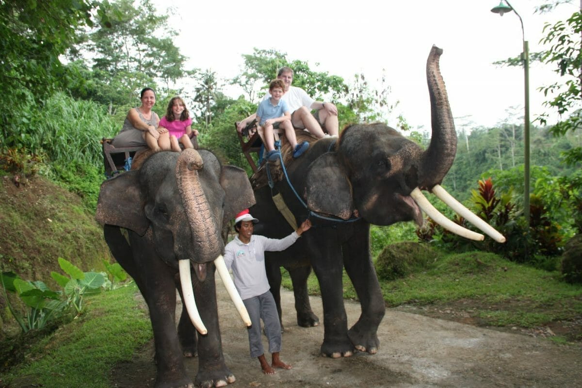 Luang Prabang Elephant Riding Tours, Laos Elephant riding in Luang Prabang