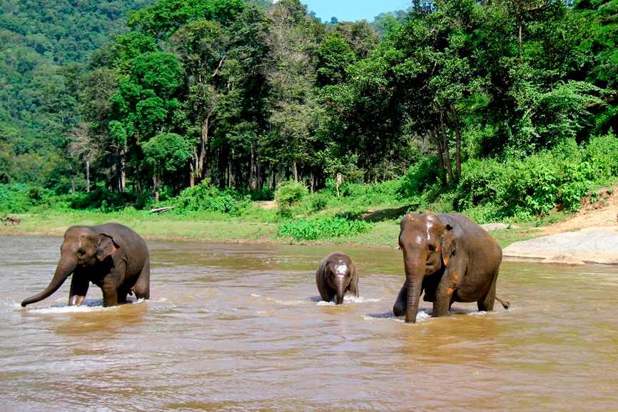 Elephant Lodge packages in Luangprabang