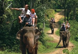 Luang Prabang Travel Packages at the Elephant Lodge
