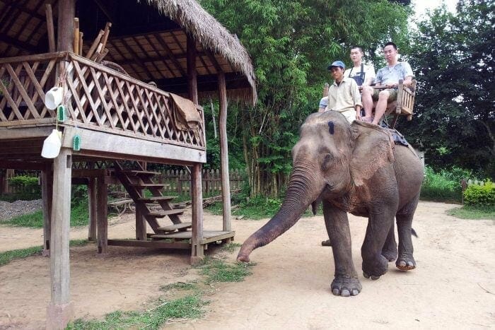Luang Prabang Tours in combination of elephant riding, Biking & Trekking