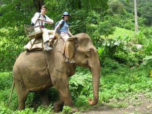Luang Prabang Tours in combination of elephant riding, Biking & Trekking