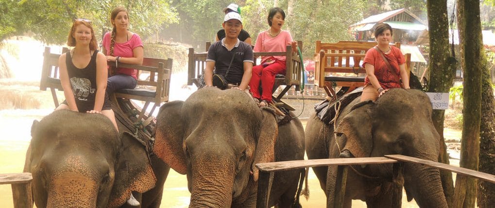 ELEPHANT RIDE & TREKKING COMBINATION TRIP IN LUANG PRABANG