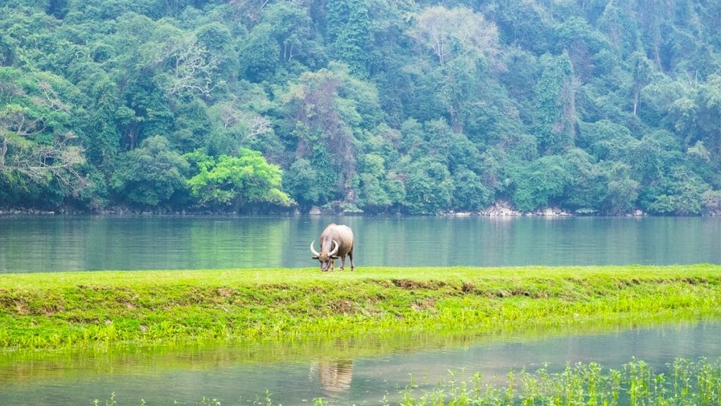 Photography Tour of North Vietnam to Mu Cang Chai, Ha Giang, Ba Be Lake - 10 Days