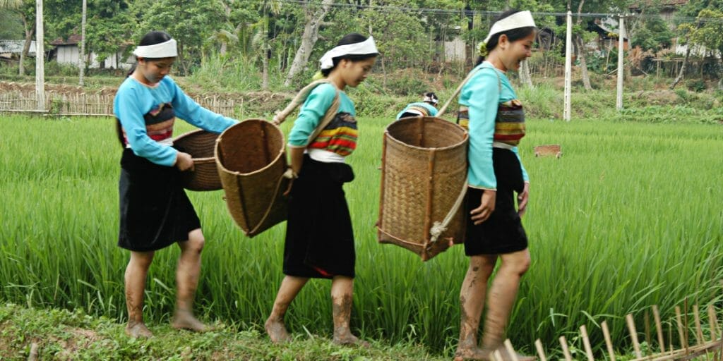 Awesome Northwest Vietnam Tour to Nghia Lo, Mu Cang Chai, and Sapa - 6 Days