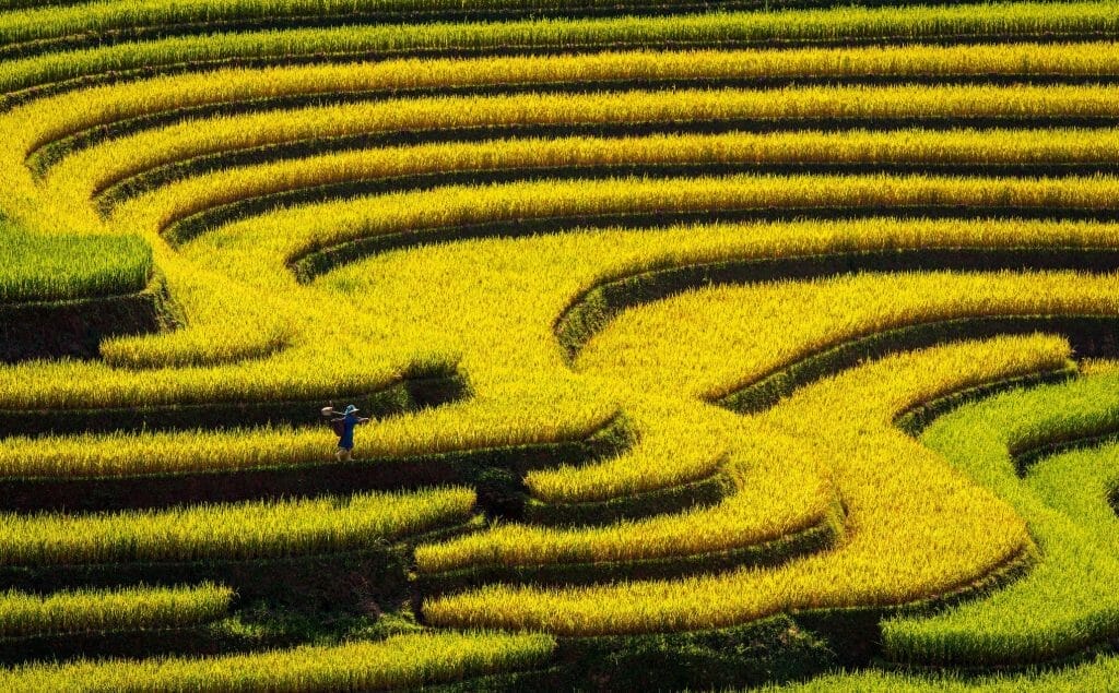 Photography Tour of North Vietnam to Mu Cang Chai, Ha Giang, Ba Be Lake - 10 Days