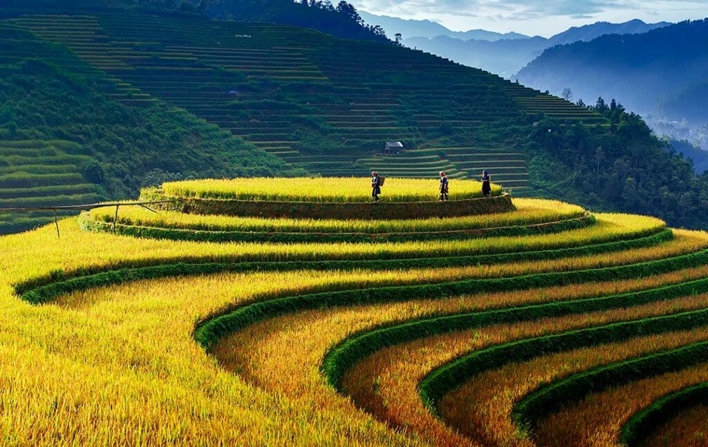 Awesome Northwest Vietnam Tour to Nghia Lo, Mu Cang Chai, and Sapa - 6 Days