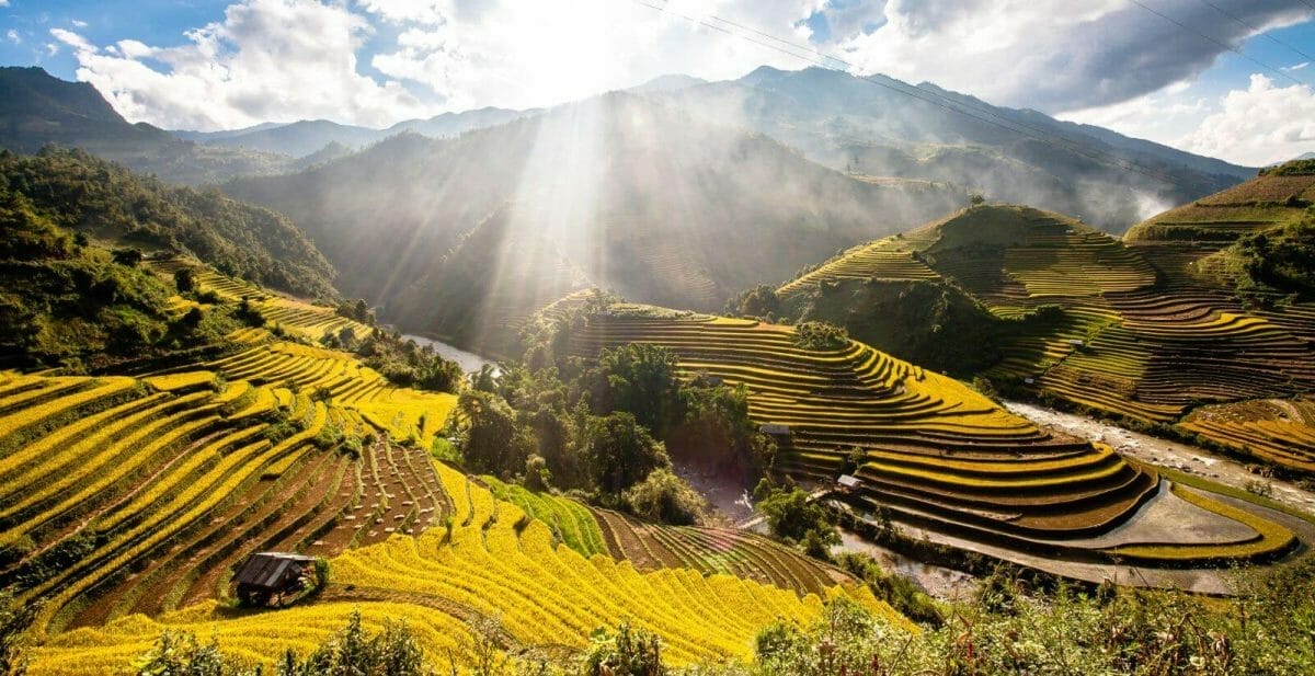 Awesome Northwest Vietnam Tour to Nghia Lo, Mu Cang Chai, and Sapa - 6 Days