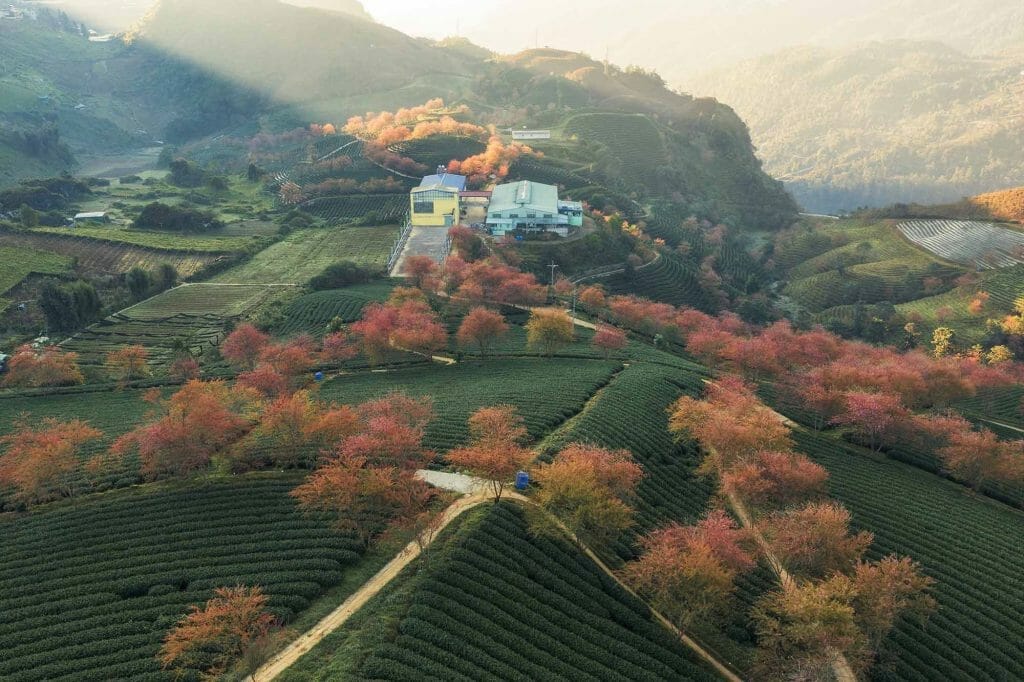 Photography Tour of North Vietnam to Mu Cang Chai, Ha Giang, Ba Be Lake - 10 Days